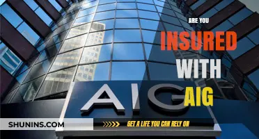 AIG Insurance: Are You Covered?