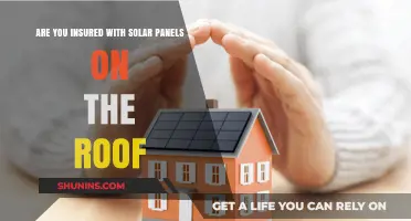 Solar Panels and Insurance: What You Need to Know