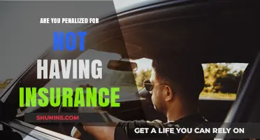 No Insurance Penalties: What You Need to Know About Fines