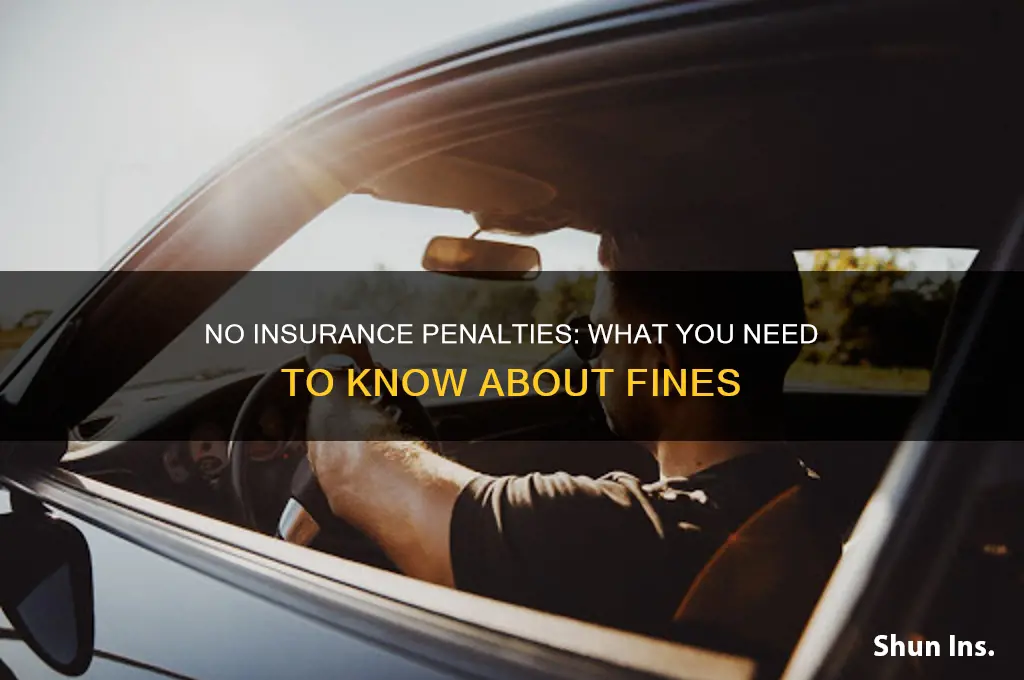 are you penalized for not having insurance