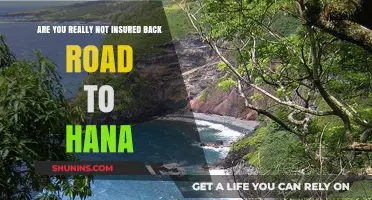 Back Road to Hana: Are You Insured?