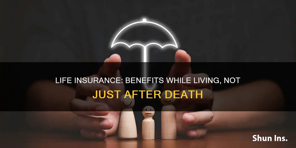 are you suppose to use life insurance while alive