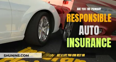 Primary Auto Insurance: Who's Responsible?