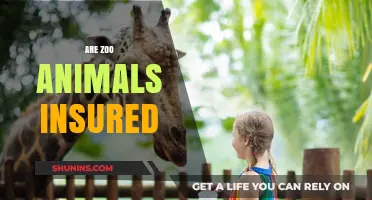 Zoo Animals and Insurance: What's the Deal?