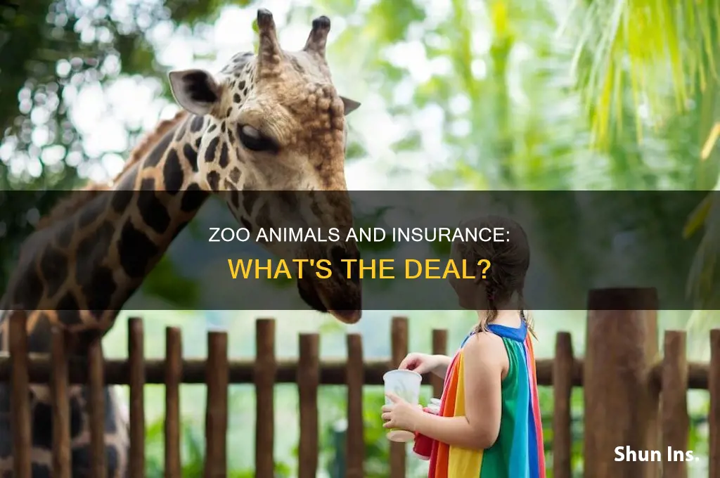 are zoo animals insured