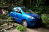 automobile insurance