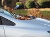 automobile insurance