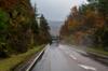automobile insurance