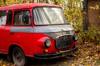 automobile insurance