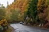 automobile insurance