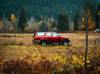 automobile insurance