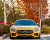 automobile insurance