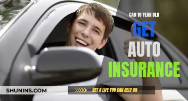 Auto Insurance for Young Adults