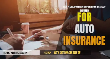 Self-Insured Auto Insurance: California Corporations