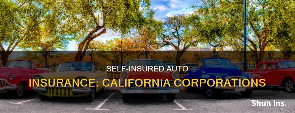 can a california corporation be self-insured for auto insurance