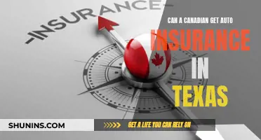 Auto Insurance: Canadian in Texas