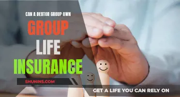 Debtor Groups: Can They Own Group Life Insurance?