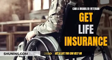 Life Insurance Options for Disabled Veterans: What You Need to Know