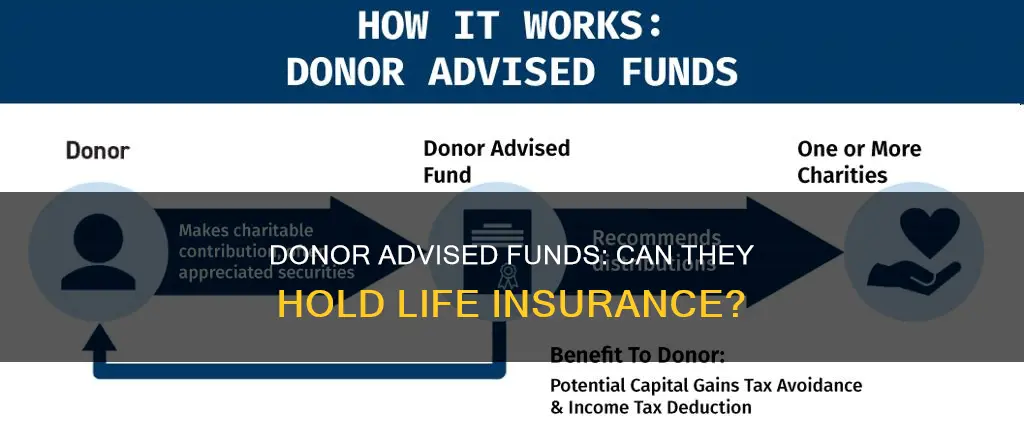 can a donor advised fund own life insurance