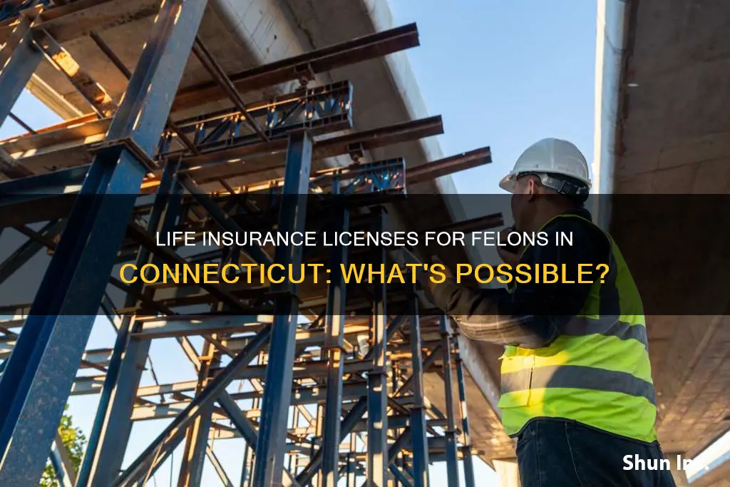 can a felon get a life insurance license in Connecticut