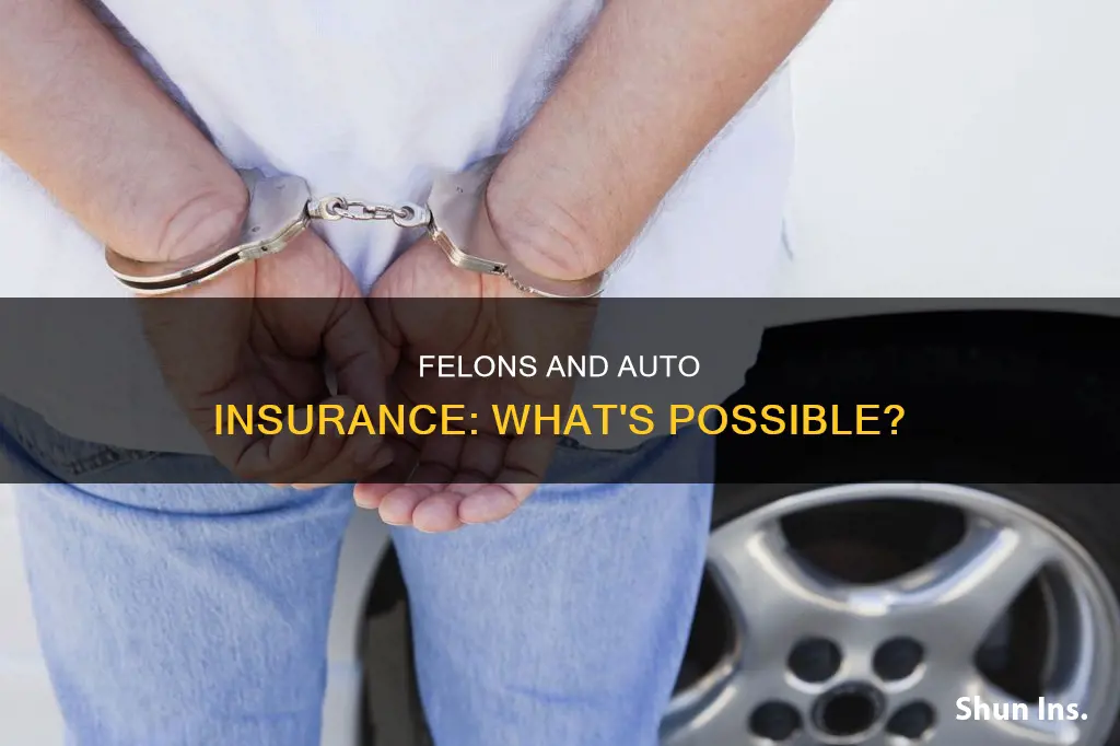 can a felon get auto insurance