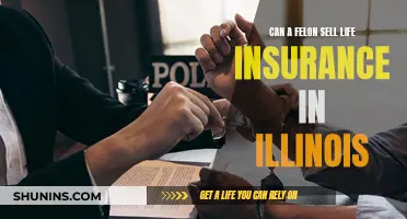 Felons Selling Life Insurance in Illinois: What's Allowed?