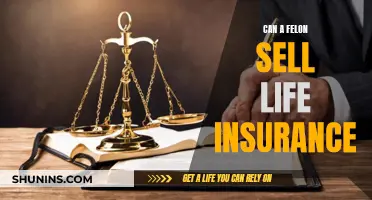 Life Insurance and Felons: Can They Sell Policies?