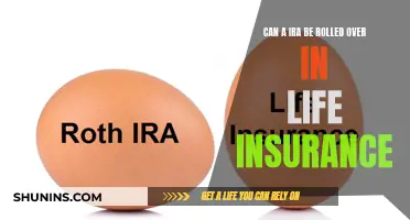 Life Insurance and IRA: Rollover Options Explained