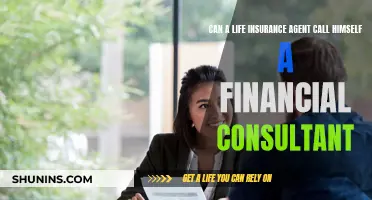 Life Insurance Agents: Financial Consultants or Not?