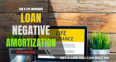 Life Insurance Policy Loans: Negative Amortization Explained