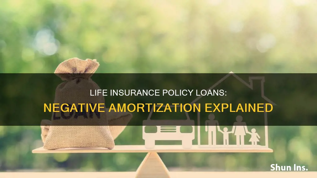 can a life insurance loan negative amortization