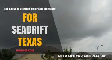 Flood Insurance for New Seadrift, Texas Homeowners: What's the Deal?