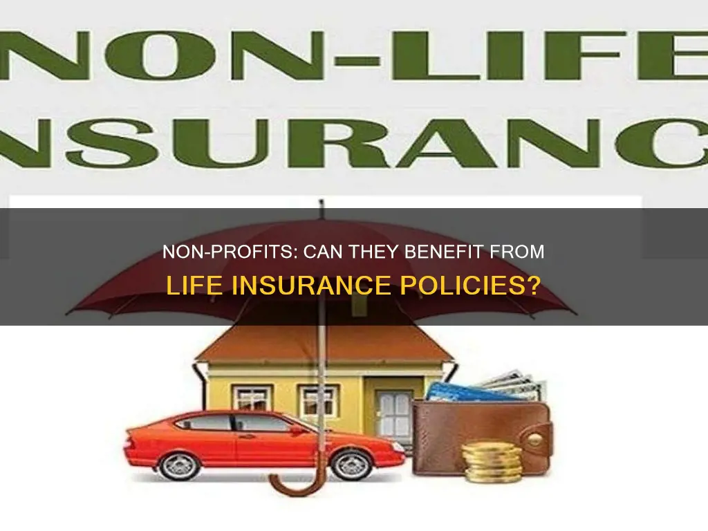 can a non-profit own life insurance