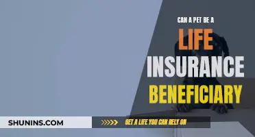 Pets as Life Insurance Beneficiaries: Is It Possible?