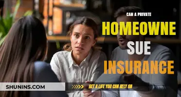 How Private Homeowners Can Sue Their Insurance Company