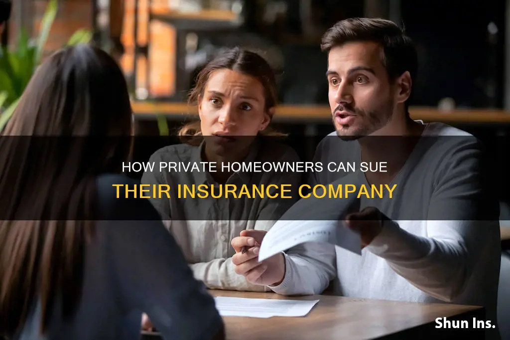 can a private homeowner sue insurance