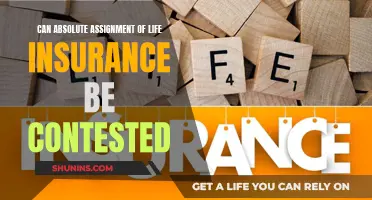 Life Insurance Absolute Assignments: Can They Be Challenged?