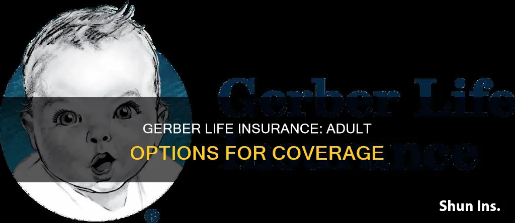 can adults get gerber life insurance