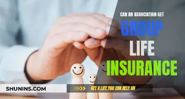 Group Life Insurance: A Viable Option for Associations?