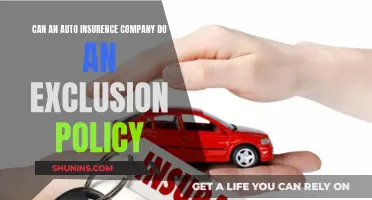 Auto Insurers: Exclusion Policies Explained