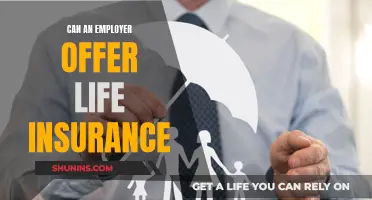 Life Insurance: Should Employers Offer It?