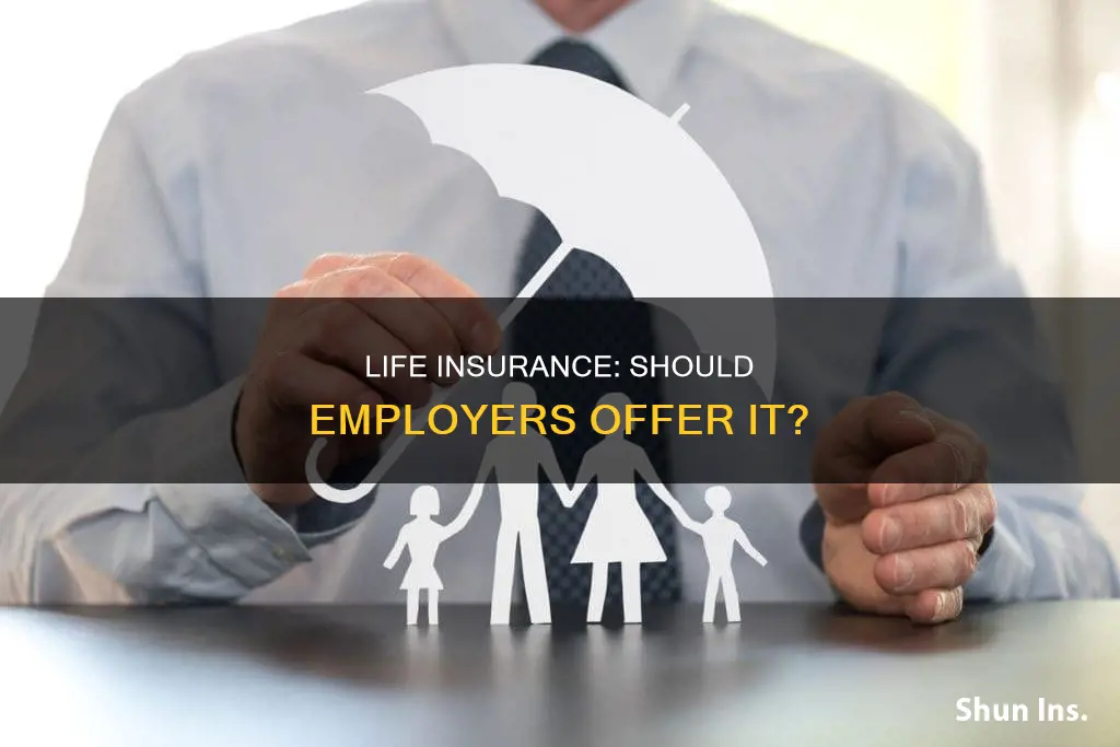 can an employer offer life insurance