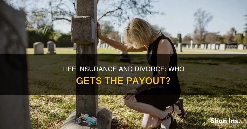 can an ex spouse collect life insurance uk