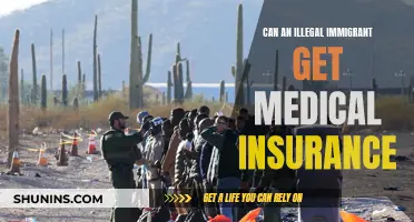 Illegal Immigrants: Accessing Medical Insurance in the US