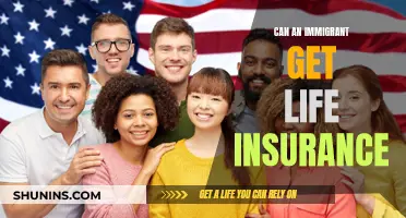 Immigrant Life Insurance: Is It Possible to Get Covered?