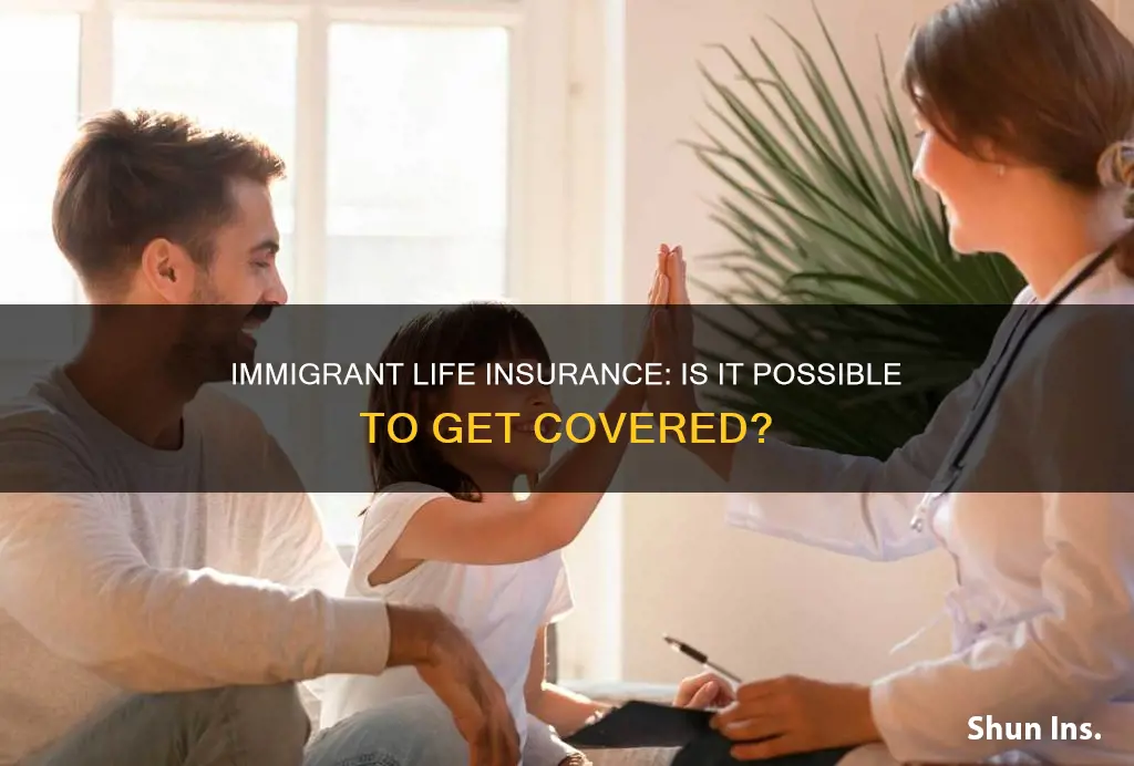 can an immigrant get life insurance