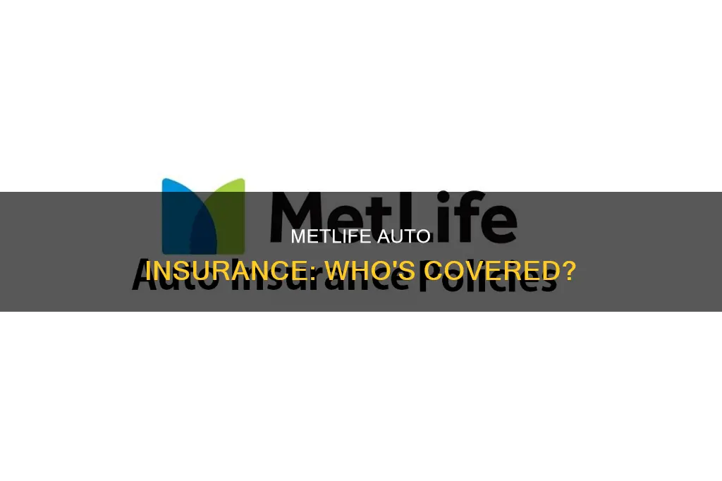 can an individual get metlife auto insurance