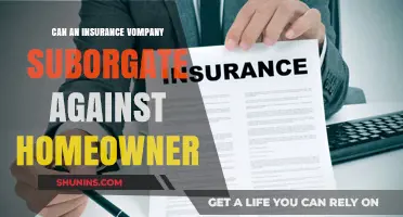Insurance Company Subrogation: Can They Sue Homeowners?