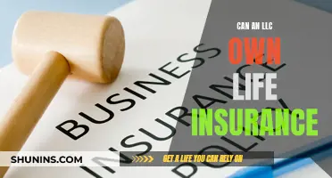 LLC Life Insurance: Ownership and Benefits Explained