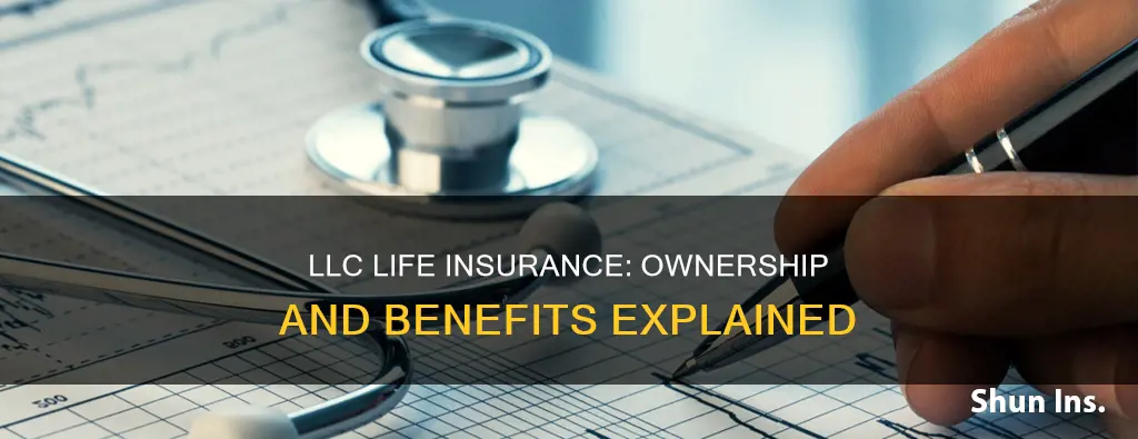 can an llc own life insurance